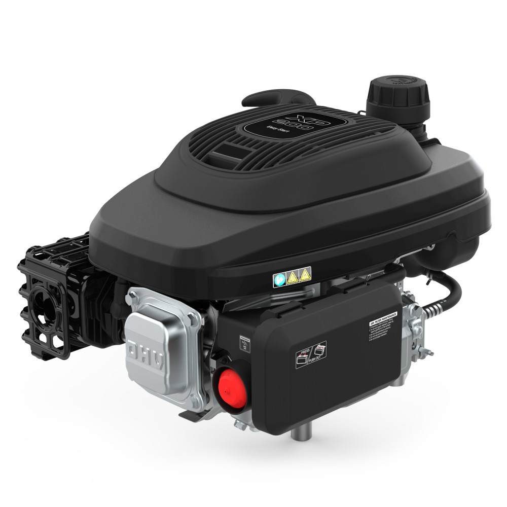 Двигатель бензиновый EVOline XP 200 A (1T90QC200EVO)