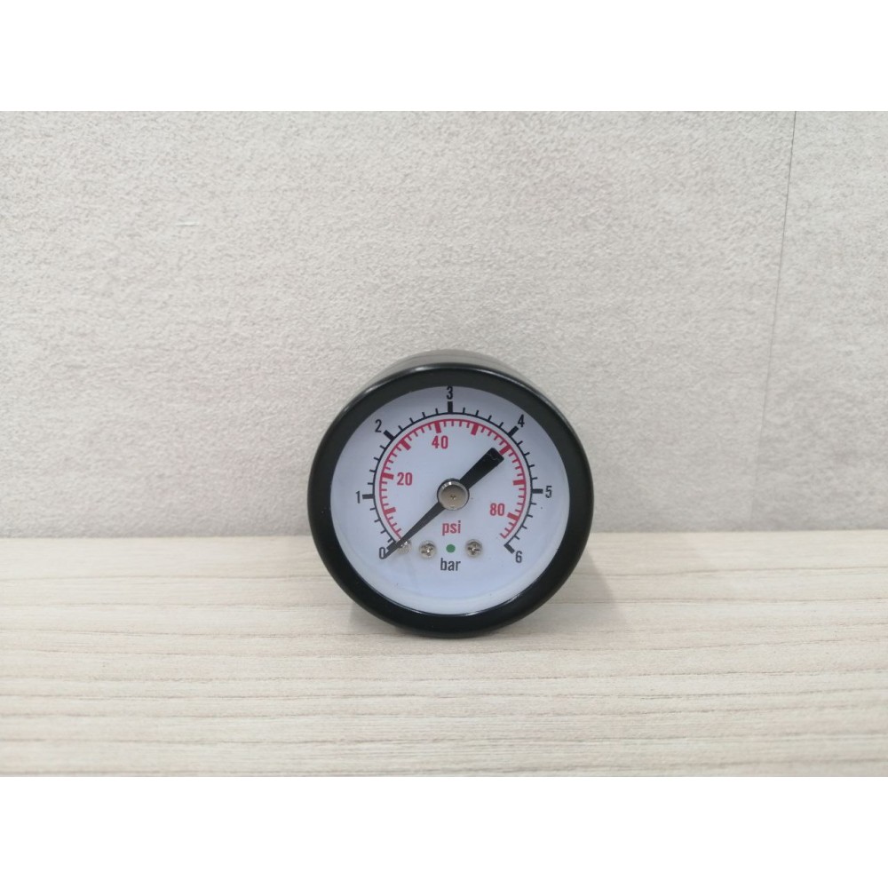 Манометр RD-SP100/24L-4